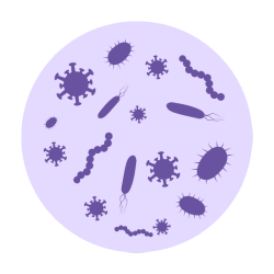 Meningococcal C disease_Childhood Immunisations